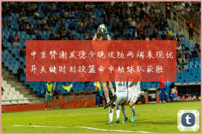 申京赞谢泼德今晚攻防两端表现优异关键时刻投篮命中助球队获胜