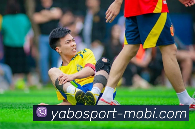 亚博体育APP 封面图